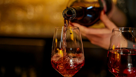 Особенности винограда и вина Темпранильо